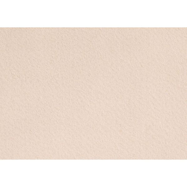 Creativ Company 10-Piece Craft Felt, Beige