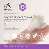 Absolute Aromas Face Creams (100ml, Lavender)
