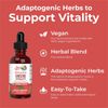 Ginseng | Ginseng Root | Ginseng Supplement | Herbal Supplement for Vitality ...