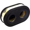 Briggs & Stratton 593260 Genuine Air Filter,Blue