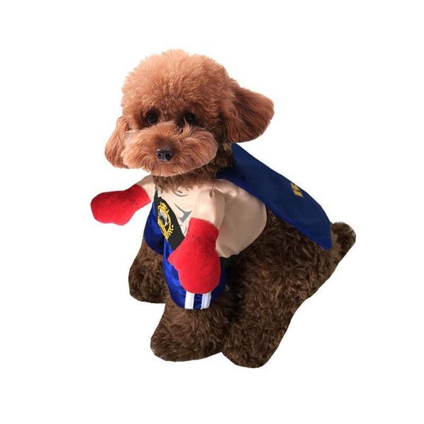 Boxer Brawler Halloween Dog Costume - Picture Color / M