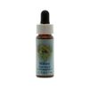 Flower Essence Services Herbal Supplements Essence, Willow, 0.25 Ounce