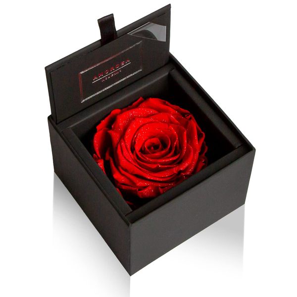 AMOROSA AM85FS-30 Amorosa Preserved Flowers, Diamond Rose Box, 85, Bright Red, White Day, Flowers, Birthday, Anniversary, Proposal