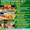 Spring Valley Advanced Digestive Enzymes Probiotics + Prebiotics 60 Count
