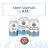 KAL Bone Meal Powder | Sterilized & Edible Supplement Rich in Calcium, Phosphorus, Magnesium | For Bones, Teeth, Nerves, Muscular Function | 16 oz
