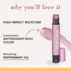 Burt's Bees Lip Shimmer, Guava, 2.7ml Tubes (4-pack)