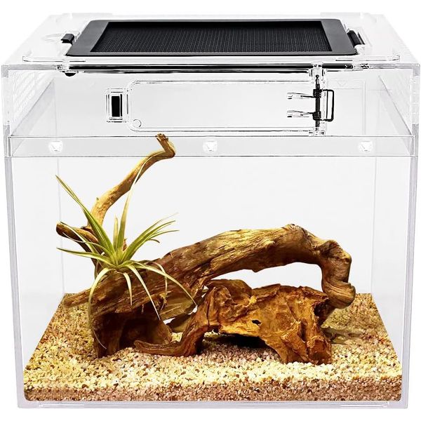 Mini Reptile Terrarium,8" x 8"x 8" Reptile Tank with Full View Visually Dragon