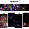 1000 LEDs 336ft Green Cable Clear Wire Fairy String Tree Twinkle Lights 8 Modes