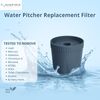 Nispira Water Pitcher Filter Replacement For Epic Nano Pitcher 150 Gal, 1 Pack