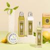 L'Occitane Verbena Body Lotion: Refreshing Lemon Scent, Softening, Moisturizing, With Grape Seed Oil, Shea Butter & Organic Verbena Extract, Vegan