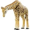 Ania Ag-01 Savannah Popular Animal Set