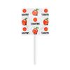 USDA Organic Tummypops Ginger Variety Pack (Pineapple, Peach, & Strawberry)
