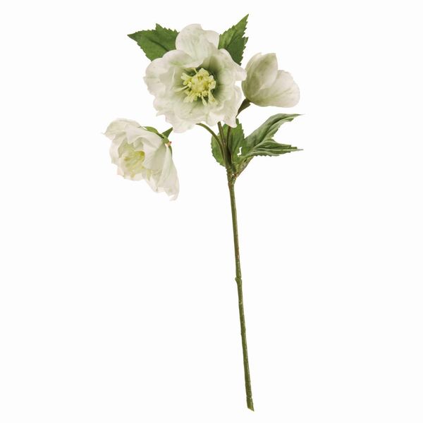 Tokyodo FM008151-023 Artificial Flowers MAGIQ Ruffle Christmas Rose, White Green, Flower Diameter 1.8 - 2.8 x 10.6 inches (4.5 - 7 x 27 cm)