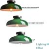Modern Green Ceiling Light,Macarons Kitchen Lighting Fixtures Ceiling
