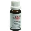 Ceres Echinacea Purp URT 20 ml Drops PZN: 178873