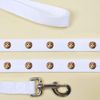 'Smiling Ginger Cat' Dog Lead/Leash (DL00022933)