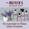 Mrs. Meyer's Clean Day Multi-Surface Everyday Cleaner, 16.0 Fluid Ounce