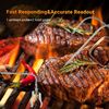 Barbecue Gas Grill Smokers Controller WiFi Bluetooth BBQ Exhaust Fan Control DC