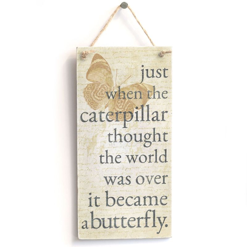 'Just When The Caterpillar Thought The World was Over It Became A ...