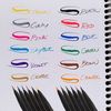 Pentel Sign Pen Micro Brush 12 Pack SESF30CPC12