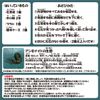 Mini Ammonite Excavation Kit (Can Excavate 2 or More)