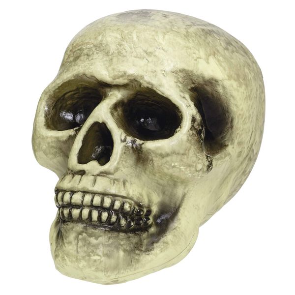 Amscan International Decorating Realistic Foam Skull