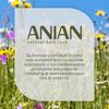 ANIAN Smooth and Soft Conditioner 250ml for Disciplined and Frizzy Hair, Shine and Moisture for Hair, with Marula Oil, Vegetable Keratin and Hyaluronic Acid