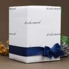A1 'Bridesmaid' Gift Wrap/Wrapping Paper Sheet (GI00106961)
