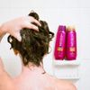 INFUSIUM, Shampoo, Repair and Renew, 13.5 oz., (ea.)