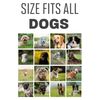 Dog Bark Collar, Rechargeable Smart Collar, Fits all dogs
