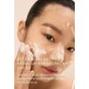 Sulwhasoo Gentle Cleansing Foam 50ml Sample Newist Version
