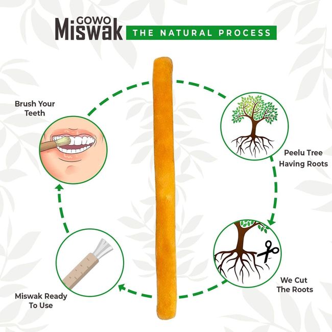 Miswak Siwak Natural Toothbrush Traditional Arak Teeth Whitener