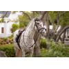 LeMieux Suede GP Square Saddlepad - Jay Blue Small/Medium