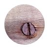 Wood Design - Wooden Texture - Rusty Screw Fixing Grip