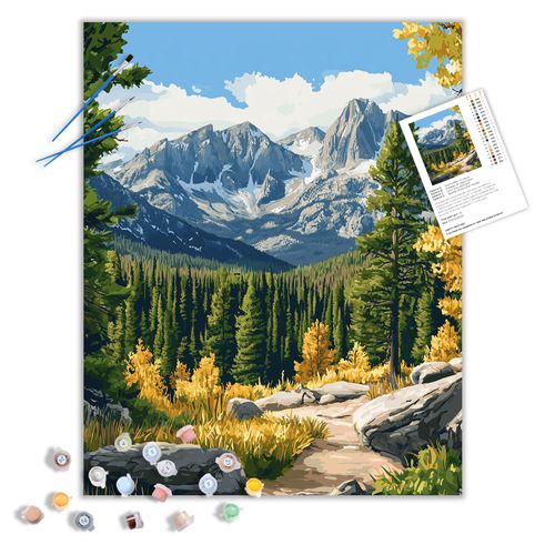 ARNLRDYA Rocky Mountain National Park Paint by Numbers for Adults, Forest Fir Paint by Number, Mountains Scenery DIY Acrylic Painting for Home Wall Decor(16×20inch, Unframe)