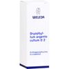 Bryophyllum Argento Cultum D 2 Dilution 50 ml