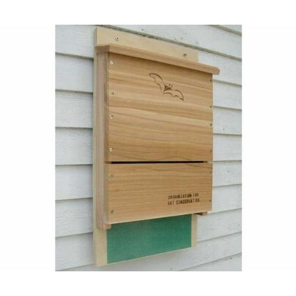 Looker Songbird Essentials Organization for Bat Conservation (OBC) Single Chamber Bat House