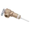 Reliance 100108456 T & P Valve, 2 In. - Quantity 1