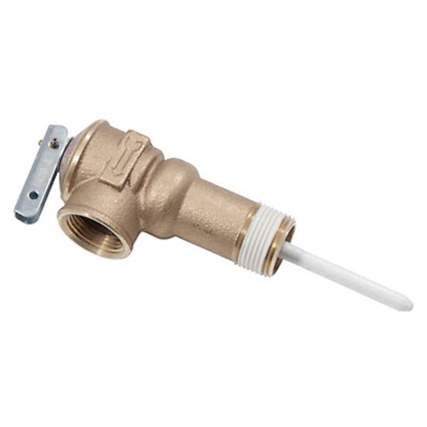 Reliance 100108456 T & P Valve, 2 In. - Quantity 1