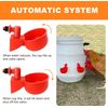 4pcs Chicken Automatic Waterer Cups Poultry Drinker Waterer Duck Quail Hen USA