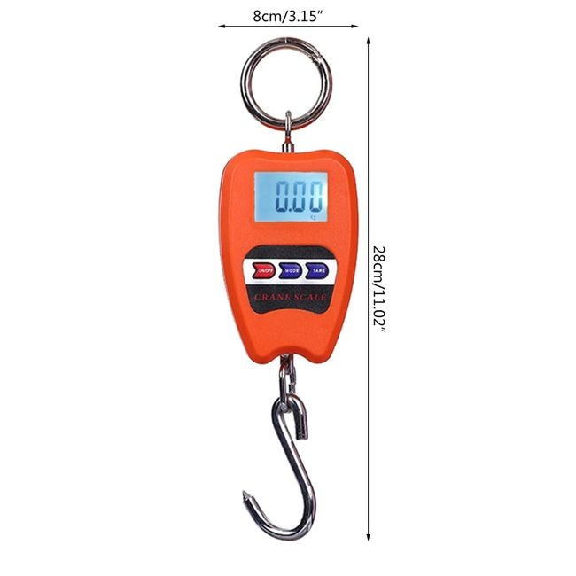 What is the how much is where can I buy a luggage crane scale