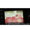 デジタル一眼レフ 実践! 花を撮るテクニック [DVD]