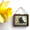 Black Cat Framed Postage Stamp Gift