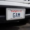 GRAPHICS & MORE Looney Tunes Bugs Face License Plate Tag Frame