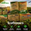 Clean Idea Ecofloss, (300 Picks), EcoFlosser Pick, Floss Picks for Adult and Kids Teeth, Teeth Flossers, Reusable Tooth Floss Picks, Floss Sticks,