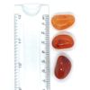 Carnelian Medium Crystal Tumbled Stone - 1 Pc