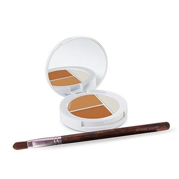 Sheer Cover Studio Conceal & Brighten Concealer- Highlight Trio Tan/Dark Shade Two-Toned Concealers Shimmering Highlighter Tan/Dark Shade with Concealer Brush