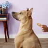 Dermoscent Essential 6 Spot-On for Dogs [1-22 lbs] (4 count)