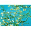 Postcard Book Vincent Van Gogh with 18 High-Quality Designs