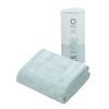 CB Japan 4573306864059 Carari Earth Microfiber Hair-Drying Towel, Blue, Quick-Drying, 39.4 x 15.7 inches (100 x 40 cm)